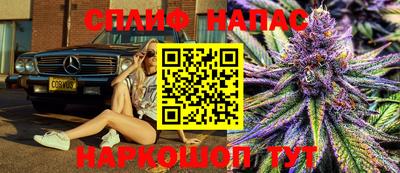 винт Тара