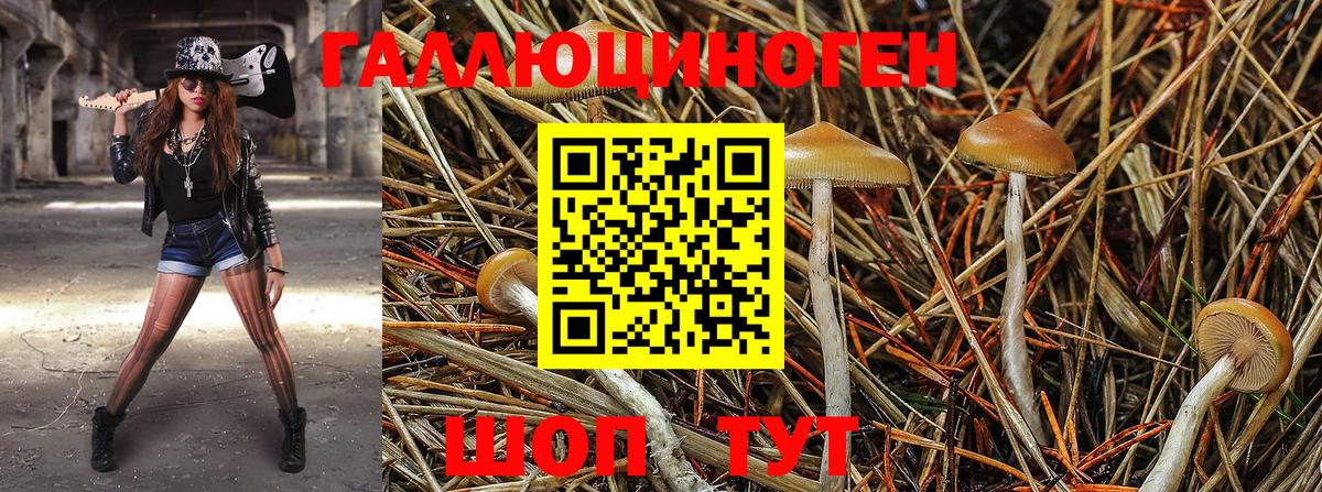 Советская Гавань  Псилоцибиновые грибы Magic Shrooms  Вход с VPN 
